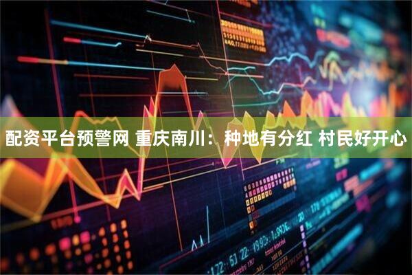 配资平台预警网 重庆南川：种地有分红 村民好开心