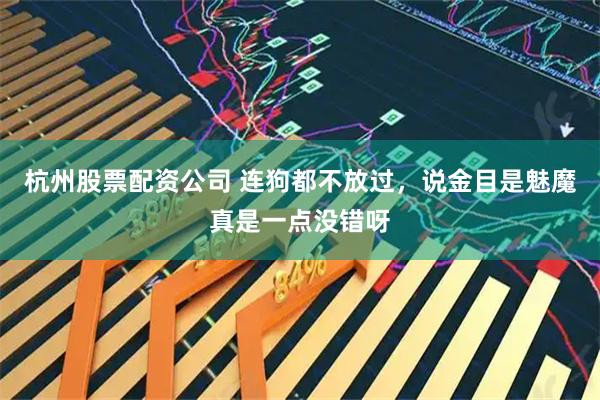 杭州股票配资公司 连狗都不放过，说金目是魅魔真是一点没错呀