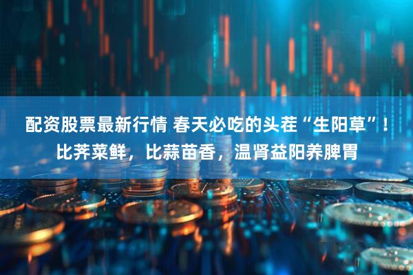 配资股票最新行情 春天必吃的头茬“生阳草”!比荠菜鲜,比蒜苗香,温肾益阳养脾胃