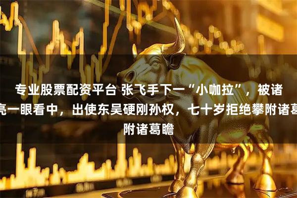 专业股票配资平台 张飞手下一“小咖拉”，被诸葛亮一眼看中，出使东吴硬刚孙权，七十岁拒绝攀附诸葛瞻