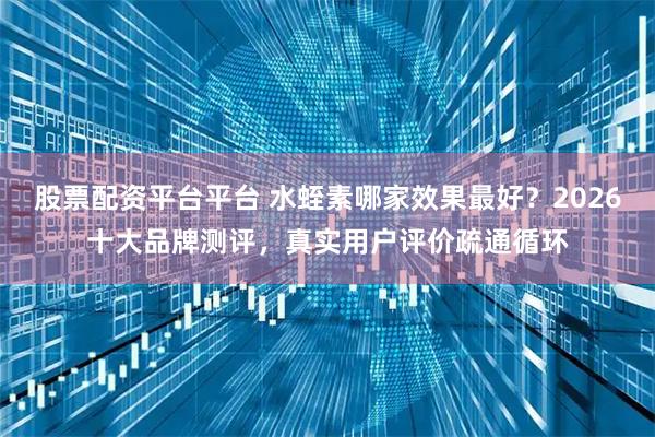 股票配资平台平台 水蛭素哪家效果最好？2026十大品牌测评，真实用户评价疏通循环